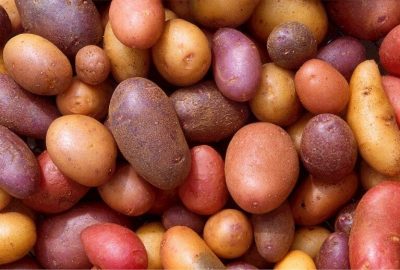 druhy-zemiakov